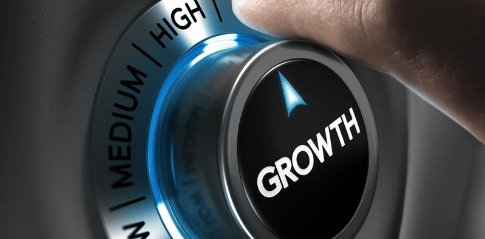 Managing Business Growth